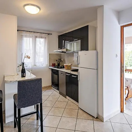 Viktor Apartment *
